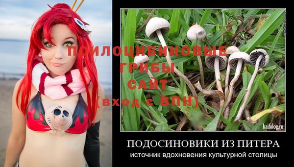 сатива Алексеевка