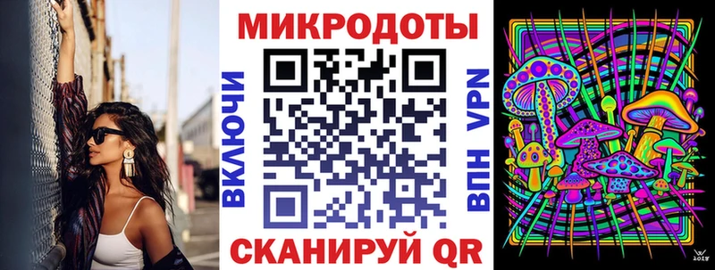 Псилоцибиновые грибы Psilocybe  Заволжск 